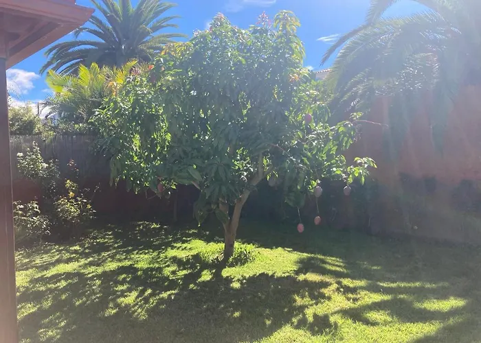 Xanadu Coliving סנטה אורסולה