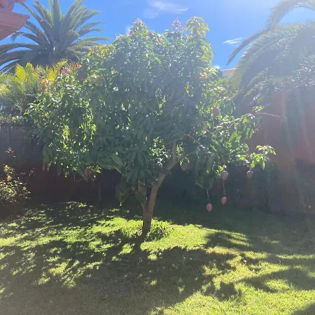 Xanadu Coliving Santa Úrsula